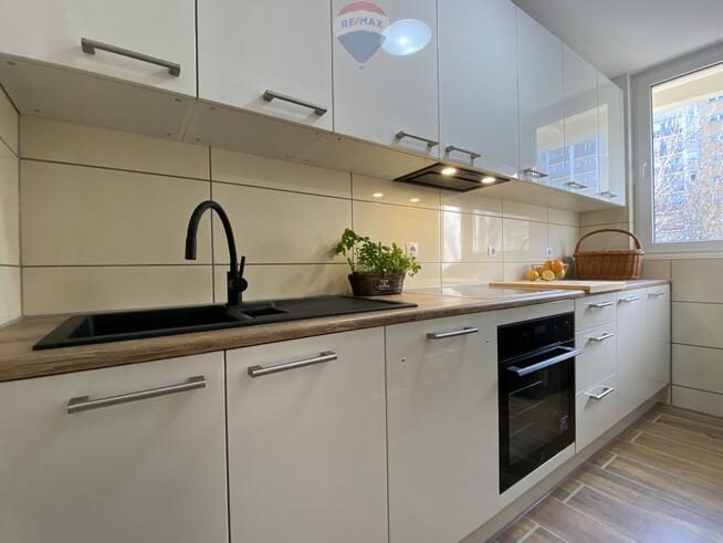 Do wynajęcia jasne słoneczne mieszkanie z balkonem