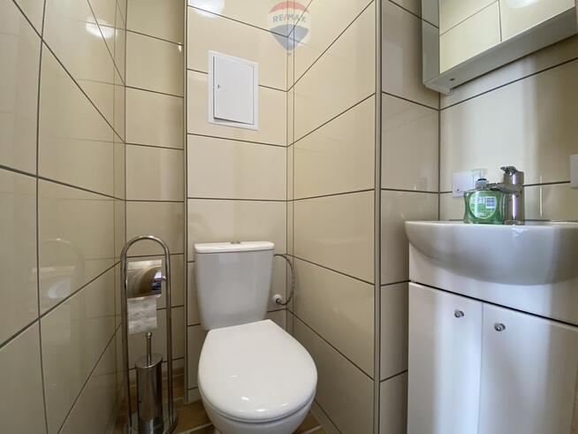 Do wynajęcia jasne słoneczne mieszkanie z balkonem