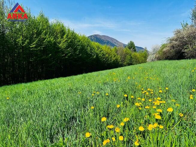 Działka Mszana Dolna