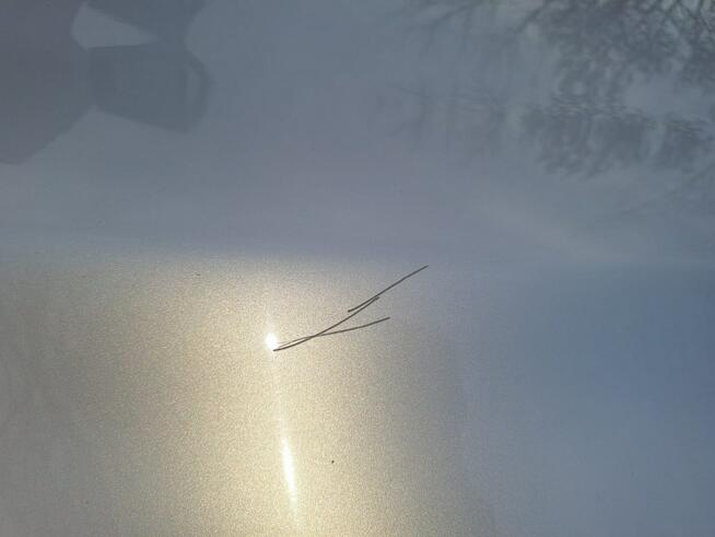 Ford Focus Stan techniczny bardzo dobry