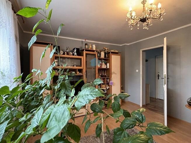 Dom Trzemeszno Centrum, Żeromskiego Stefana