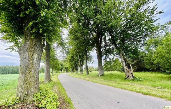 Działka budowlana Chlewiska gm. Kotuń