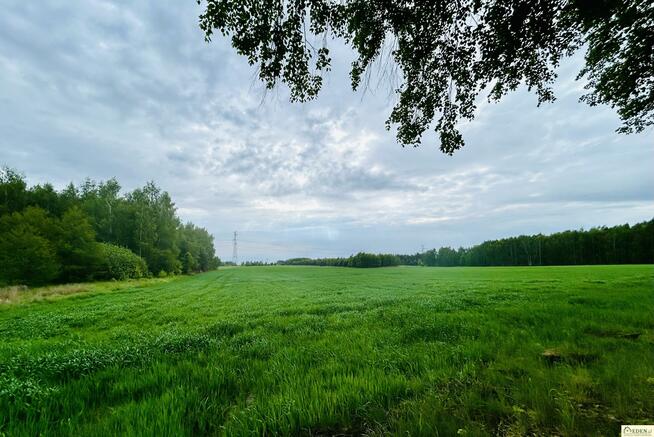 Działka budowlana Chlewiska gm. Kotuń