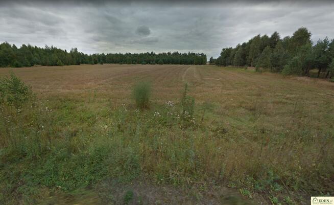 Działka budowlana Krynka gm. Łuków