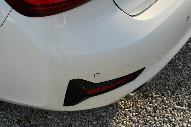 BMW 318 Salon Polska 156HP Gwarancja