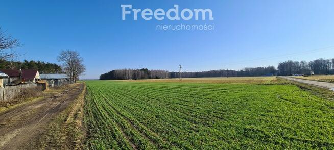 Nowoczesny dom jednorodzinny pod lasem