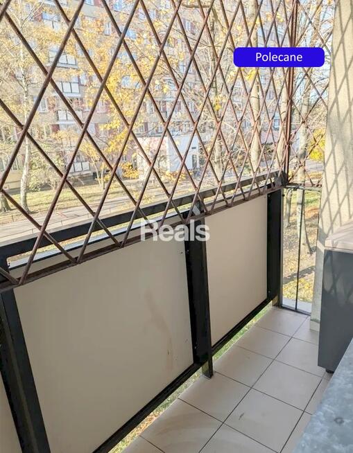2 pokoje, kuchnia, balkon, piwnica, park!