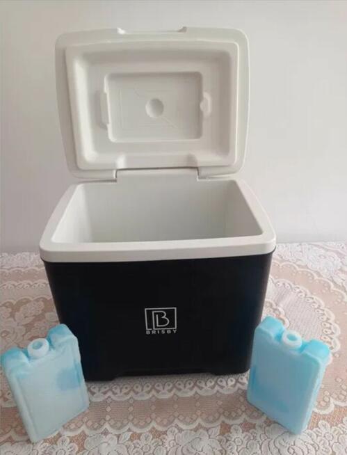 Lodówka turystyczna