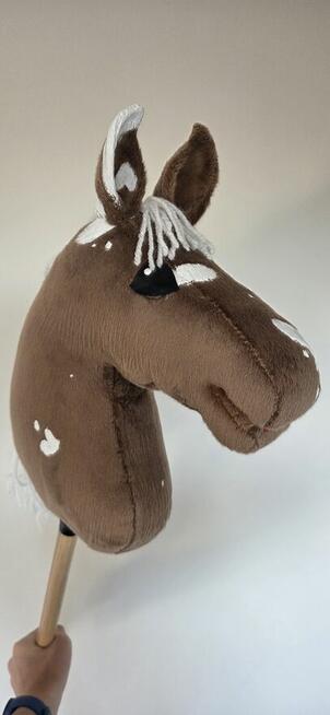 Hobby horse