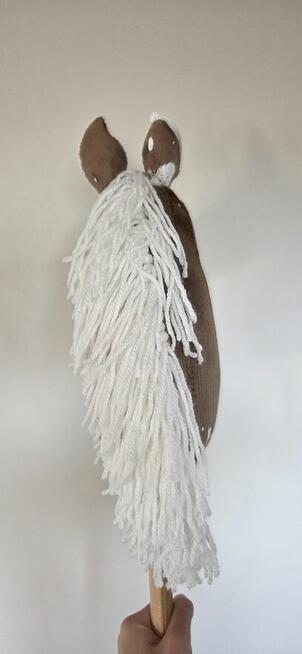 Hobby horse