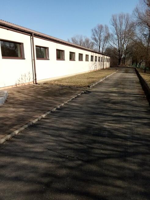 Hala magazynowo - produkcyjna do wynajęcia - 600 m²