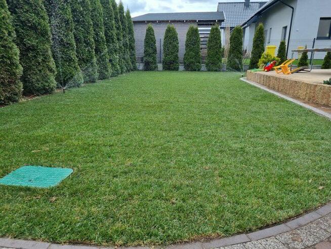 Czyszczenie działki i wycinka drzew - Trójmiasto I Kaszuby