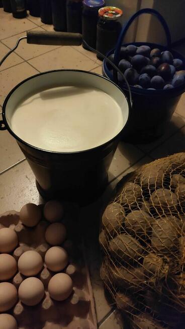 Mleko krowie od rasy Jersey, swojskie, A2/A2