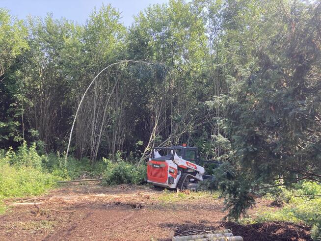 Czyszczenie działki i wycinka drzew - Trójmiasto I Kaszuby