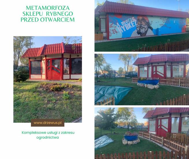 Czyszczenie działki i wycinka drzew - Trójmiasto I Kaszuby