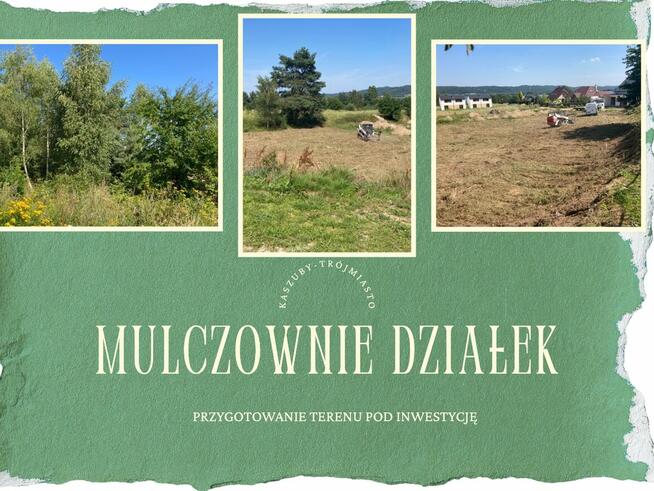 Czyszczenie działki i wycinka drzew - Trójmiasto I Kaszuby