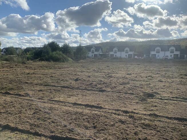 Czyszczenie działki i wycinka drzew - Trójmiasto I Kaszuby