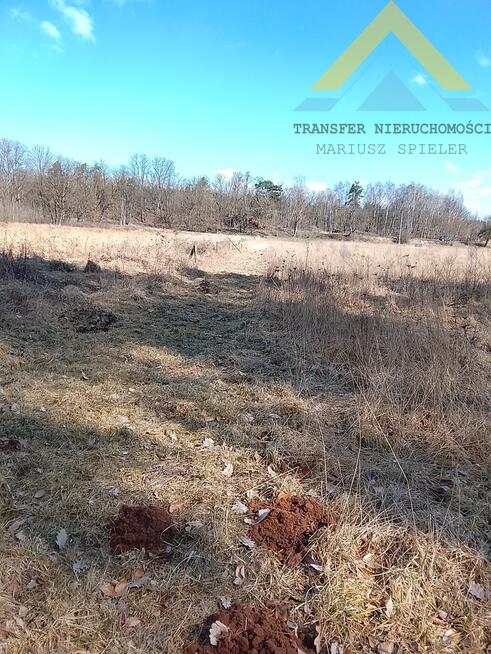 Super działka budowlano - rekreacyjna w Krzynce !