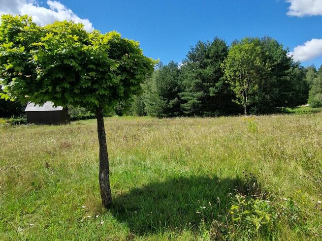Działka budowlana Słójka gm. Szudziałowo Dziewiczy Ług,