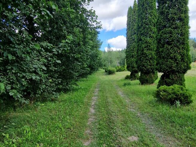 Działka budowlana Słójka gm. Szudziałowo Dziewiczy Ług,