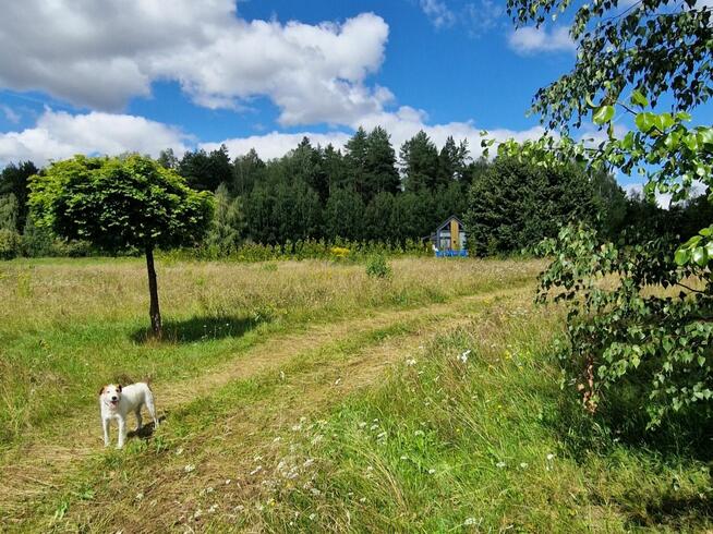 Działka budowlana Słójka gm. Szudziałowo Dziewiczy Ług,