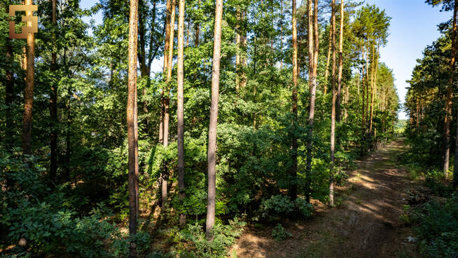 Działka budowlana Warszawa gm. Wawer Wawer, Ezopa