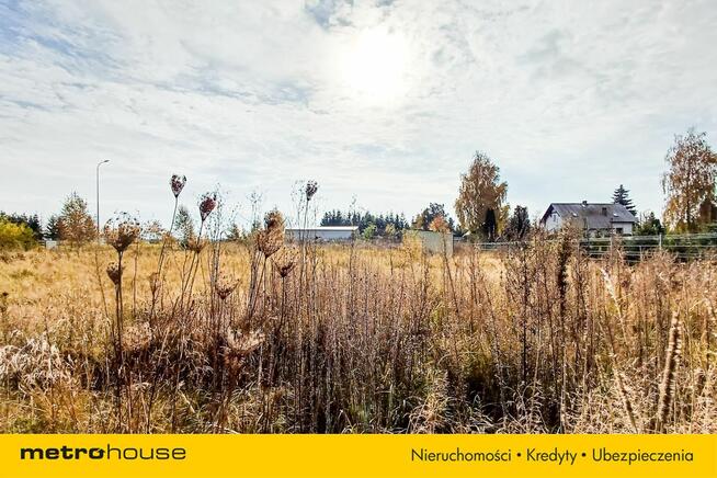 Działka 1246 m2, na sprzedaż - Nieżywięć.