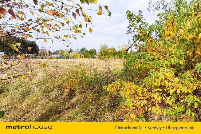 Działka 1246 m2, na sprzedaż - Nieżywięć.
