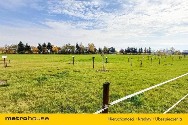 Działka 1246 m2, na sprzedaż - Nieżywięć.