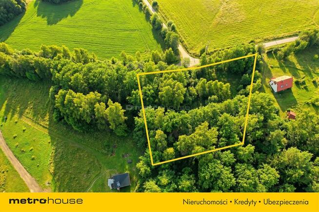 Działka 3000 m² z WZ przy lesie Jelonek, Mazury