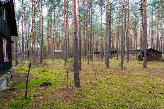 Sprzedaż/działka z MPZP/1900 m2/Łosie- Radzymin