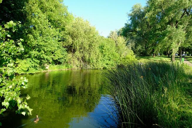 Mieszkanie Warszawa gm. Wola Wola, Ks. Jana Sitnika