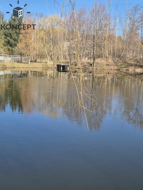 Sosnówka, wyjątkowa działka na sprzedaż.