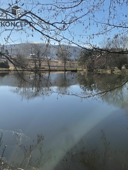 Sosnówka, wyjątkowa działka na sprzedaż.