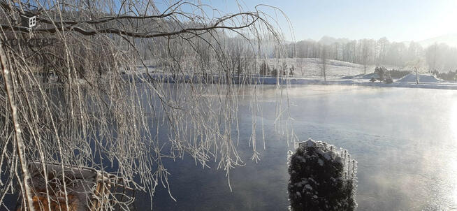Sosnówka, wyjątkowa działka na sprzedaż.