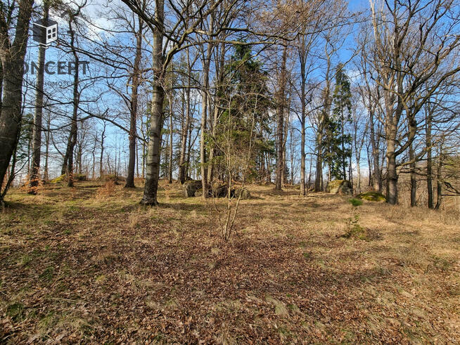 Pałacyk myśliwski w Staniszowie.