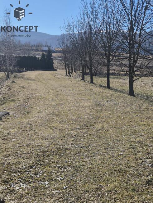 Sosnówka, wyjątkowa działka na sprzedaż.