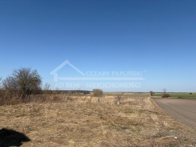 Lokal użytkowy Siennica Różana, Siennica Różana