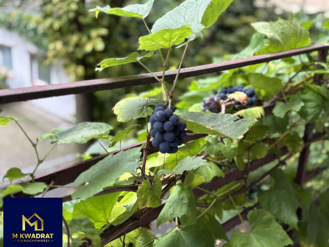 Mieszkanie Gdynia Śródmieście, Świętojańska