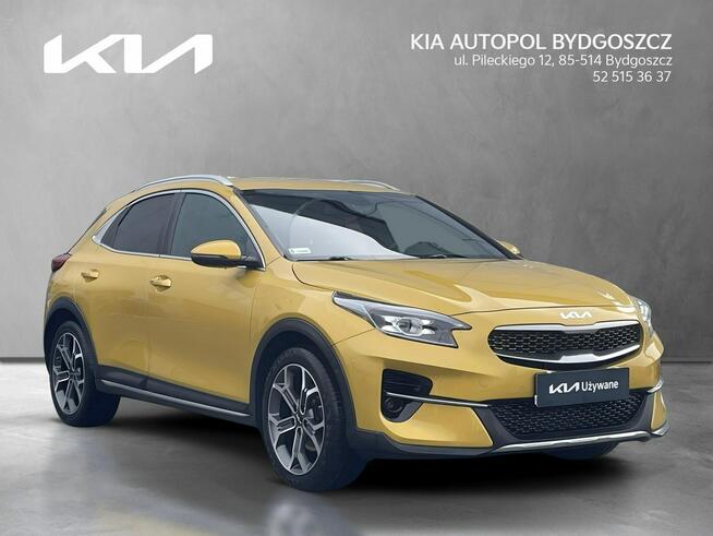 Kia XCeed 1.5 T-GDI 160KM Bussines Line + Salon PL Alufelgi 18