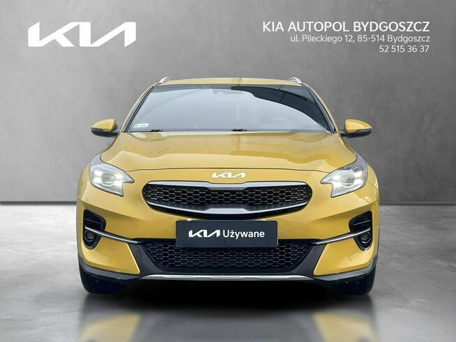 Kia XCeed 1.5 T-GDI 160KM Bussines Line + Salon PL Alufelgi 18