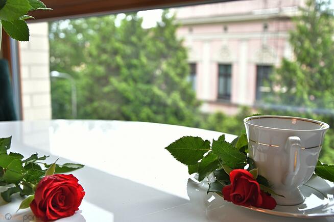 Mieszkanie Wrocław Stare Miasto, Księcia Witolda