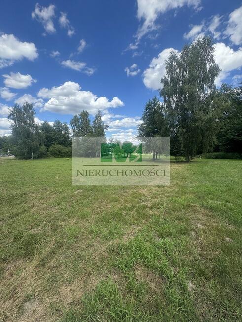 NA SPRZEDAŻ DZIAŁKA W OTOCZENIU LASU W JELNEJ