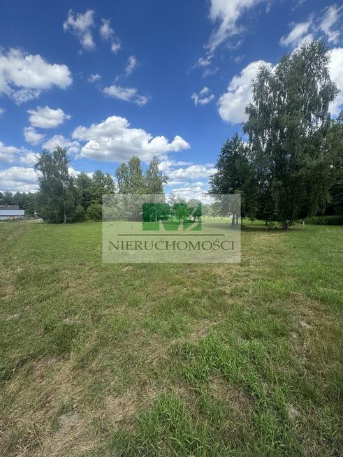 NA SPRZEDAŻ DZIAŁKA W OTOCZENIU LASU W JELNEJ