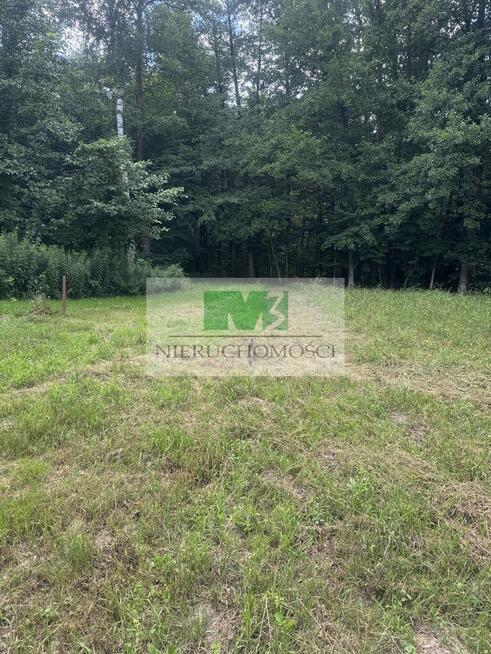 NA SPRZEDAŻ DZIAŁKA W OTOCZENIU LASU W JELNEJ