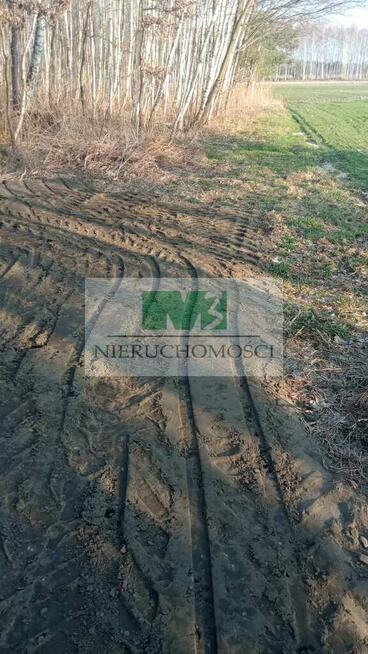 NA SPRZEDAŻ DZIAŁKA W OTOCZENIU LASU W JELNEJ