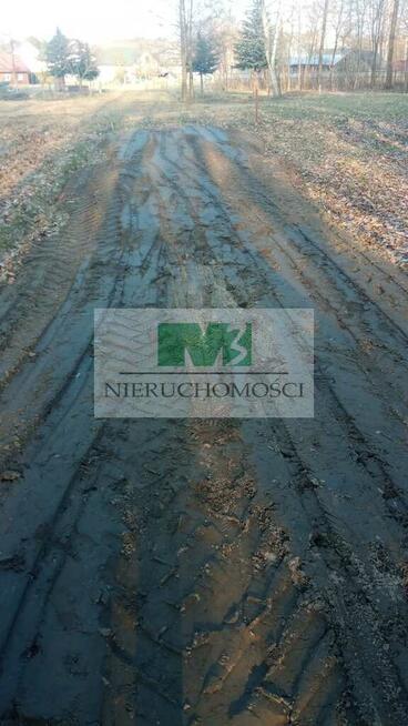 NA SPRZEDAŻ DZIAŁKA W OTOCZENIU LASU W JELNEJ