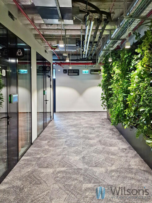 Lokal użytkowy Warszawa gm. Wola Wola, Żelazna