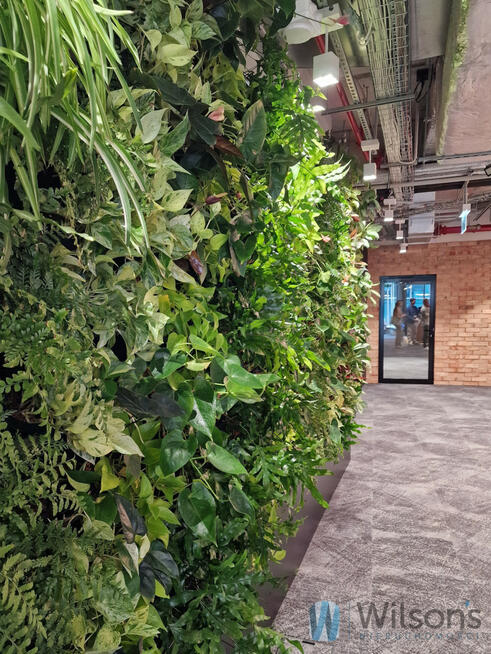 Lokal użytkowy Warszawa gm. Wola Wola, Żelazna