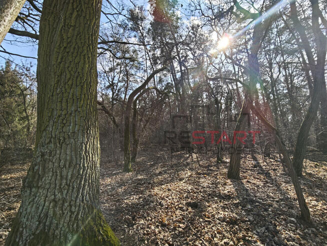 Działka budowlana Książenice gm. Grodzisk Mazowiecki,